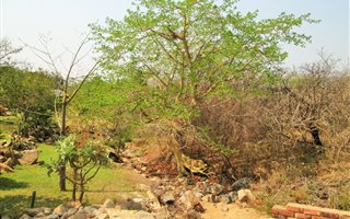 1729 m² Land available in Kampersrus AH