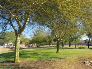 970 m² Land available in Zambezi Country Estate