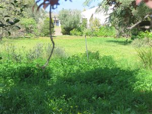 1080 m² Land available in Sonstraal