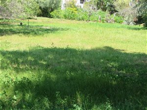 1080 m² Land available in Sonstraal