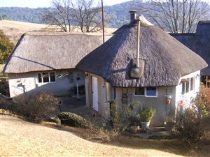 46 ha Farm in Dargle