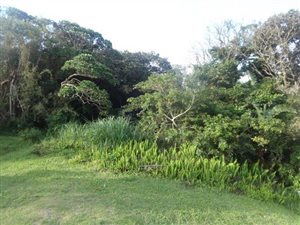 1013 m² Land available in Port Edward