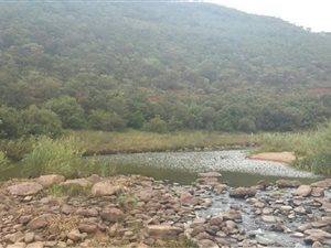 1005 m² Land available in Presidentsrus
