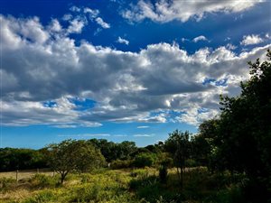 1406 m² Land available in Outeniqua Strand