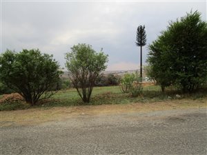 1.2 ha Land available in Irene