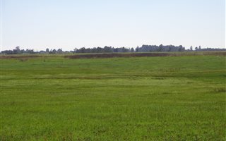 693 ha Farm in Grootfontein Estate