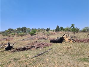 1342 m² Land available in Roodeplaat