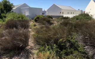 3 Bedroom House in Laguna Sands
