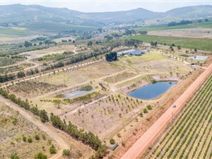 9.6 ha Farm in Stellenbosch Agricultural