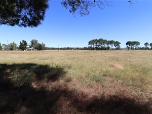 1 ha Land available in Martindale
