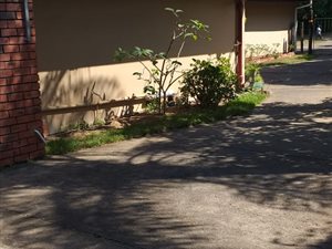 4 Bed House in St Lucia