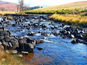 78 ha Smallholding in Underberg