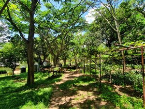 1.7 ha Farm in Nelspruit Central