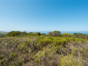 3.5 ha Land available in Hansmoeskraal