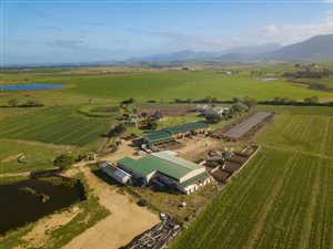 38 ha Farm in George Central