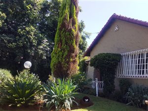 3 Bed House in Hazel Park