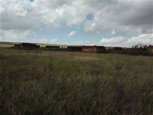 130 ha Farm in Westonaria
