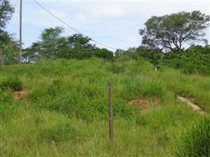 1716 m² Land available in Camperdown