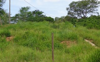 1716 m² Land available in Camperdown