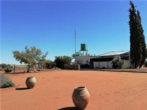 12878 ha Farm in Springbok