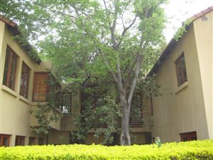 4 Bed House in Irene Woods Estate