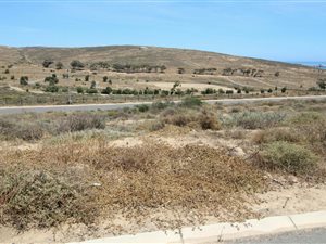 304 m² Land available in St Helena Bay