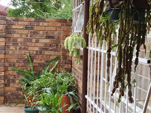 3 Bedroom House in Helikon Park