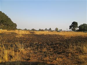 1.1 ha Land available in Stefanopark