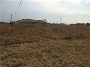 1018 m² Land available in Riversdale