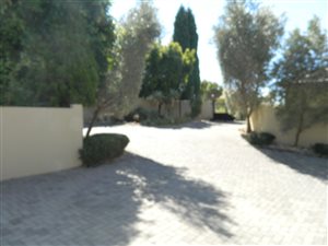 3 Bed House in Olivedale