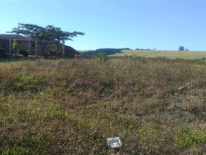 1.4 ha Land available in Greytown