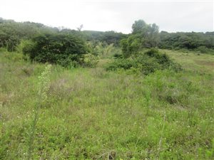1010 m² Land available in Desainagar