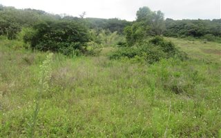 1010 m² Land available in Desainagar
