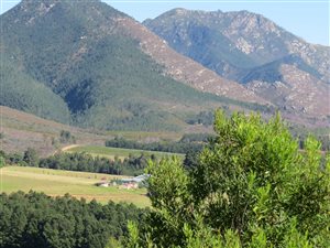 89 ha Land available in Waboomskraal