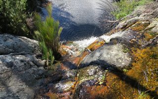 89 ha Land available in Waboomskraal