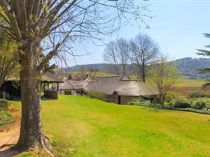 46 ha Farm in Dargle