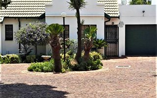 1 Bedroom Apartment in Newlands