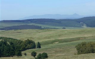 3605 m² Land available in Nottingham Road