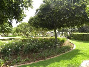 2 Bed Townhouse in Mooikloof Ridge