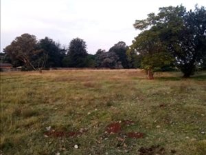 11440 ha Farm in Rynfield