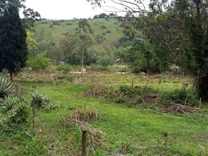 4047 m² Land available in Inchanga