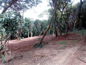 1182 m² Land available in Trafalgar