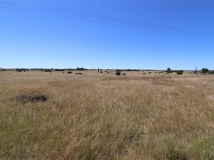 1 ha Land available in Lakeview