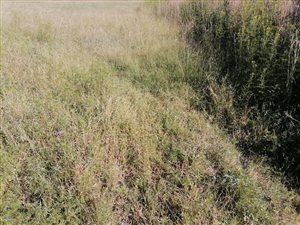 3965 m² Land available in Mackenzie Park