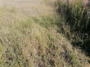 3965 m² Land available in Mackenzie Park