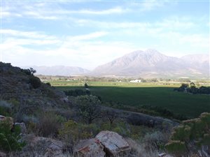 1 ha Farm in Wolseley