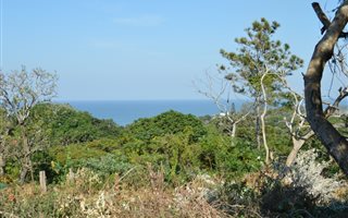 1205 m² Land available in Leisure Bay