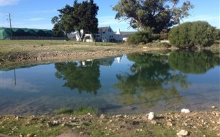 198 ha Farm in Stilbaai
