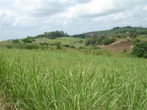 6 ha Farm in Tongaat Central