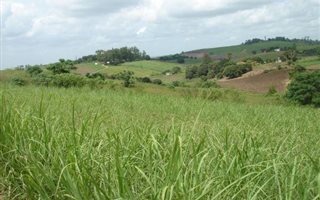6 ha Farm in Tongaat Central